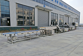 蔬菜清洗機(jī)械